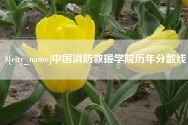 绍兴中国消防救援学院历年分数线