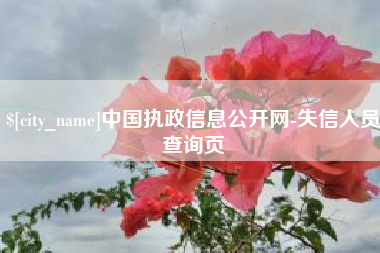 绍兴中国执政信息公开网-失信人员查询页