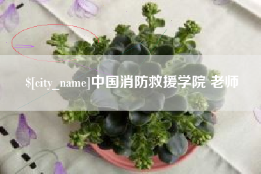 绍兴中国消防救援学院 老师