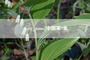 绍兴中国第9金