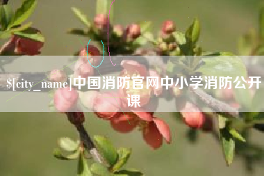 绍兴中国消防官网中小学消防公开课