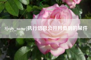 绍兴执行信息公开网查到的案件