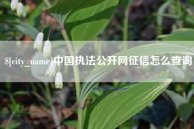 绍兴中国执法公开网征信怎么查询