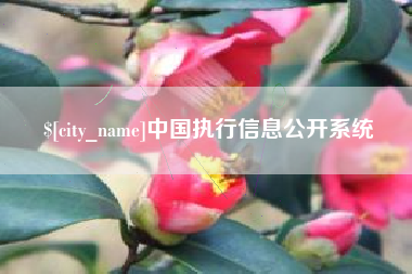 绍兴中国执行信息公开系统