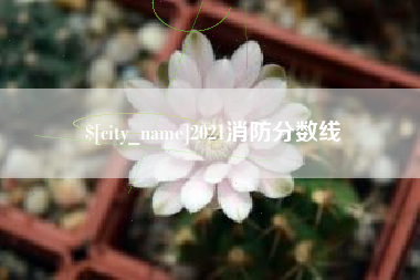 绍兴2021消防分数线