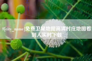 绍兴免费卫星地图高清村庄地图看到人实时下载