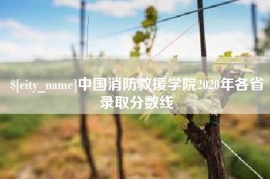 绍兴中国消防救援学院2020年各省录取分数线