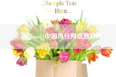 绍兴中国执行网信息官网