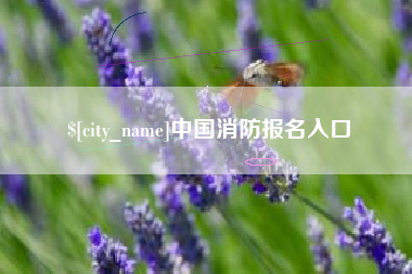 绍兴中国消防报名入口
