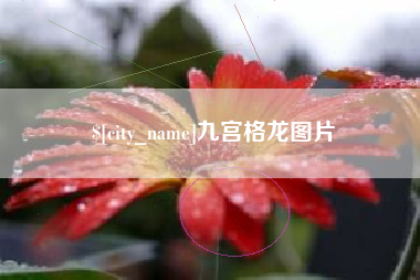 绍兴九宫格龙图片