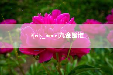绍兴九金是谁