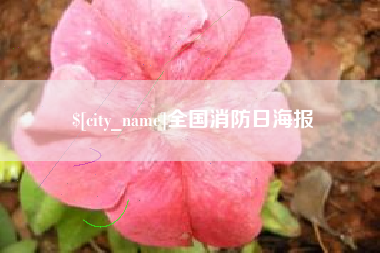 绍兴全国消防日海报