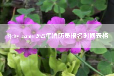 绍兴2025年消防员报名时间表格