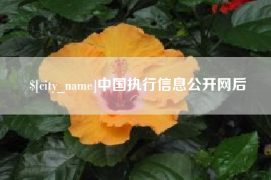 绍兴中国执行信息公开网后