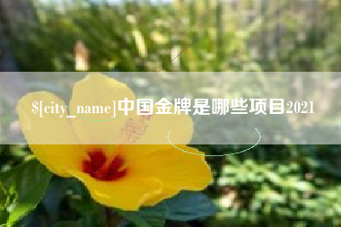 绍兴中国金牌是哪些项目2021
