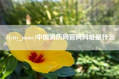 绍兴中国消防网官网网址是什么