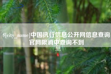 绍兴中国执行信息公开网信息查询官网限消中查询不到