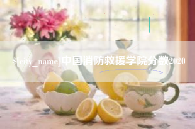 绍兴中国消防救援学院分数2020