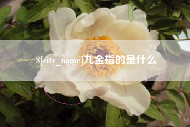 绍兴九金指的是什么