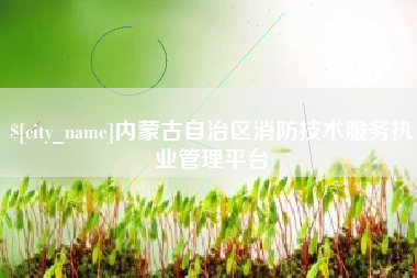 绍兴内蒙古自治区消防技术服务执业管理平台