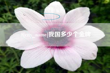 绍兴我国多少个金牌