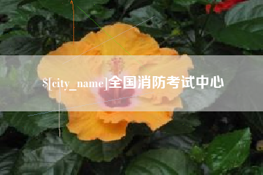 绍兴全国消防考试中心