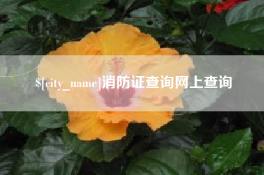 绍兴消防证查询网上查询