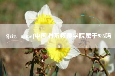 绍兴中国消防救援学院属于985吗