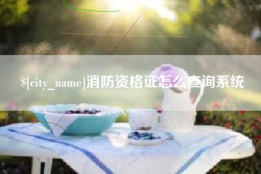 绍兴消防资格证怎么查询系统