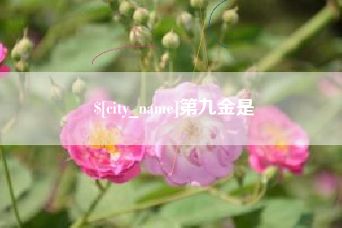 绍兴第九金是