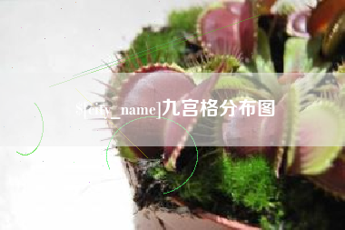 绍兴九宫格分布图