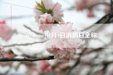 绍兴11月9日消防日全称