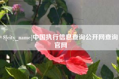 绍兴中国执行信息查询公开网查询官网