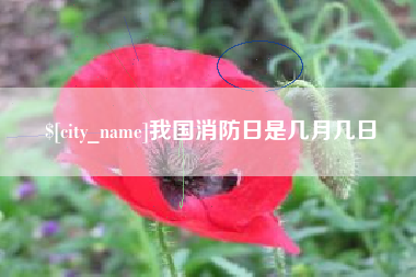 绍兴我国消防日是几月几日