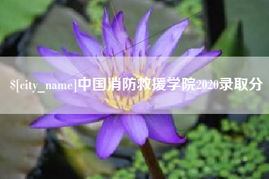 绍兴中国消防救援学院2020录取分