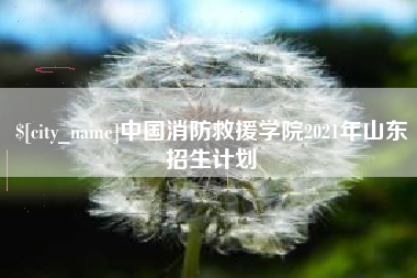 绍兴中国消防救援学院2021年山东招生计划