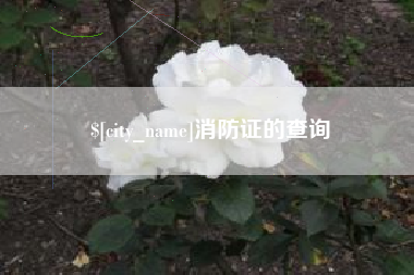 绍兴消防证的查询