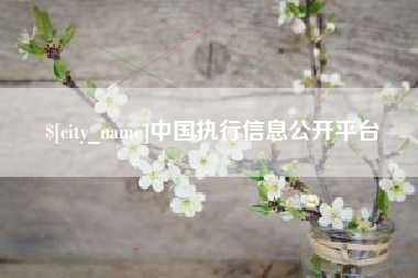 绍兴中国执行信息公开平台