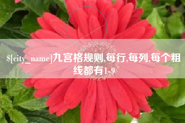 绍兴九宫格规则,每行,每列,每个粗线都有1-9