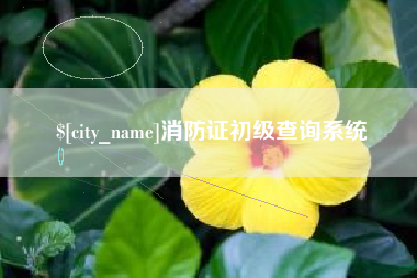 绍兴消防证初级查询系统