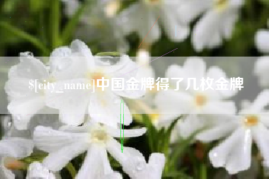 绍兴中国金牌得了几枚金牌