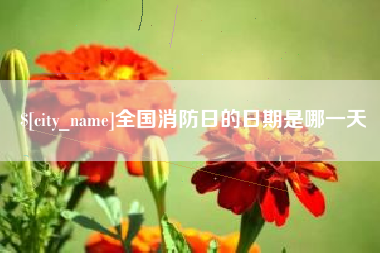绍兴全国消防日的日期是哪一天