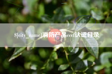 绍兴消防产品cccf认证目录