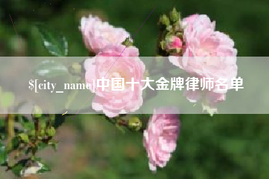 绍兴中国十大金牌律师名单