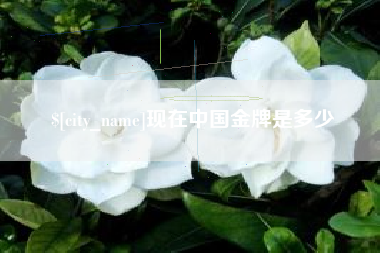 绍兴现在中国金牌是多少