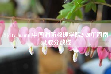 绍兴中国消防救援学院2020年河南录取分数线