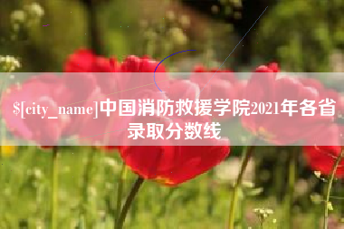 绍兴中国消防救援学院2021年各省录取分数线