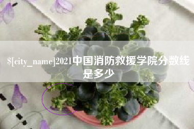 绍兴2021中国消防救援学院分数线是多少