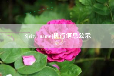 绍兴执行信息公示
