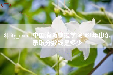 绍兴中国消防救援学院2021年山东录取分数线是多少